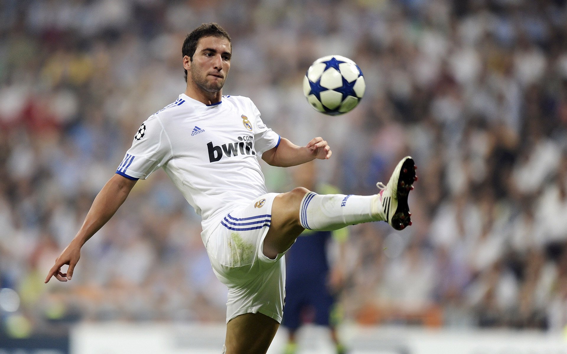 “最终名单出炉,豪门齐派最强阵”