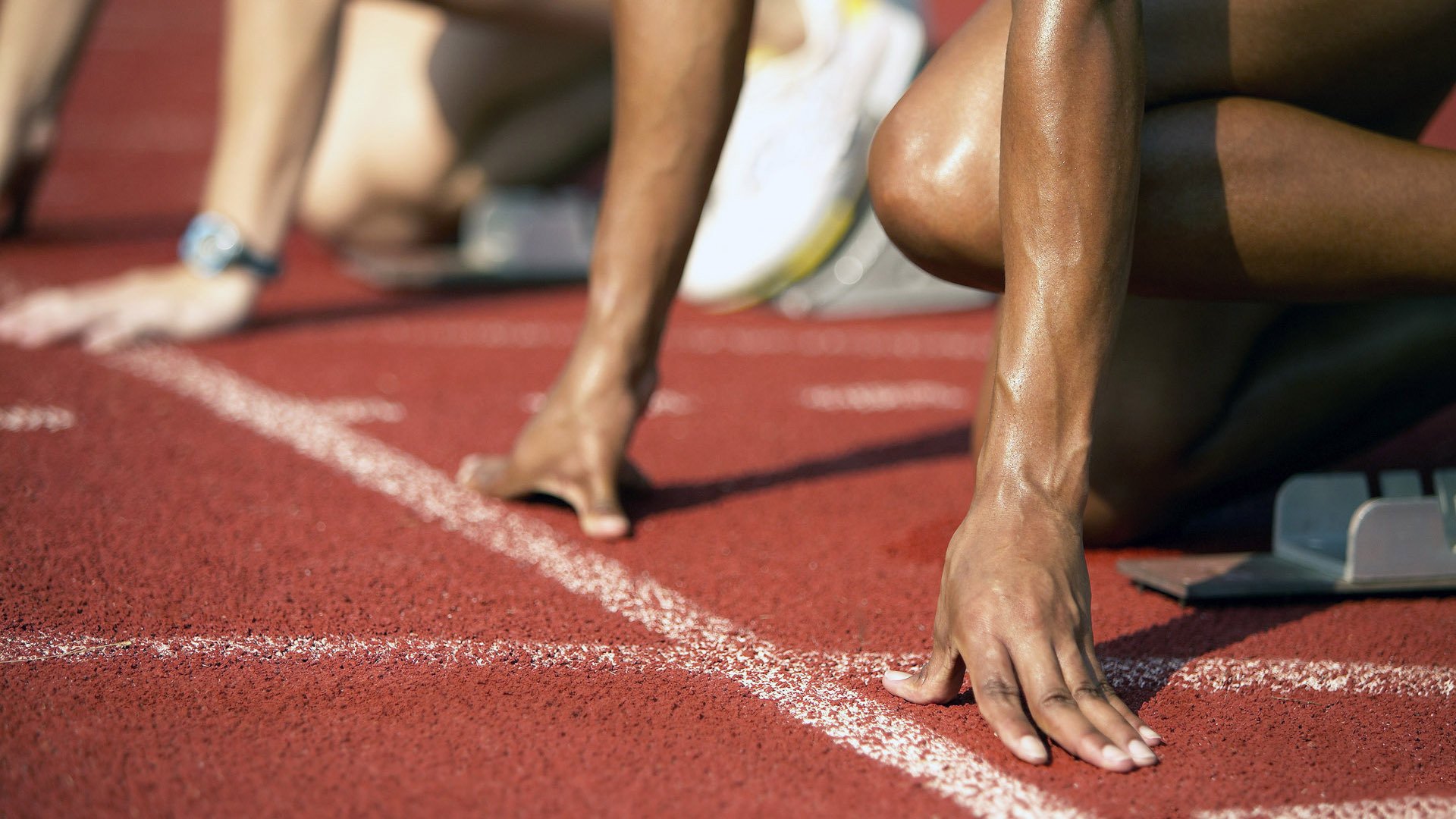 曹缘稳健发挥锁定男子3米跳板冠军，曹缘10米跳台单人